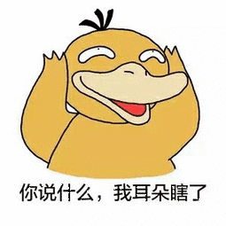 你说什么，我耳朵瞎了