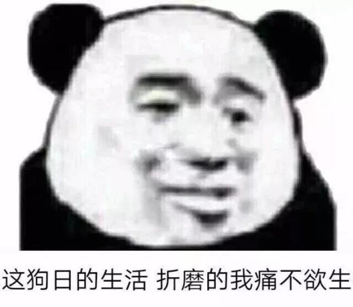 者狗日的生活