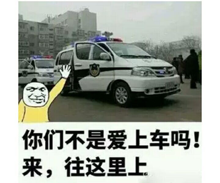 你们不是爱上车吗？来，往这里上