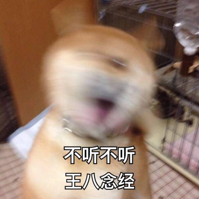 不听不听王八念经