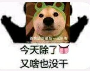 今天出了什么都没干