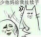 少他妈跟我扯犊子