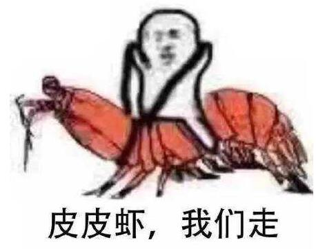 皮皮虾，我们走