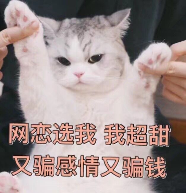 网恋选我