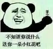 不知道你说什么？送你一朵小红花吧