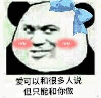 爱可以和很多人说但只能和你做