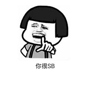 你很SB