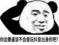 你这傻逼不会是玩抖音出身的吧？