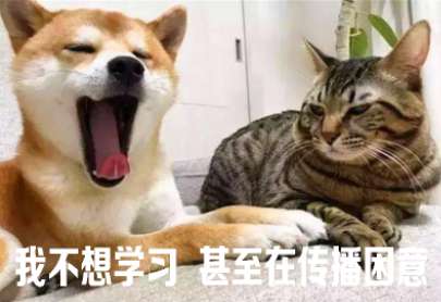 我不想学习甚至在传播困倦