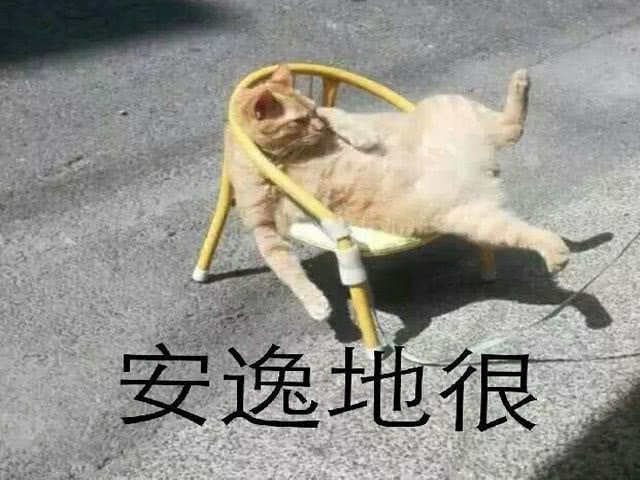 安逸的很