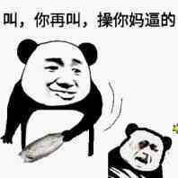 叫，你再叫，操你妈逼的