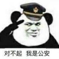 对不起我是公安