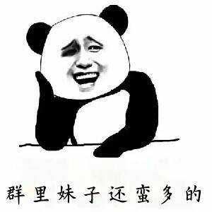 群里妹子还挺多的