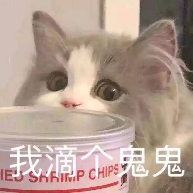 我滴个鬼鬼