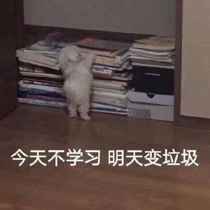 今天不学习明天变垃圾