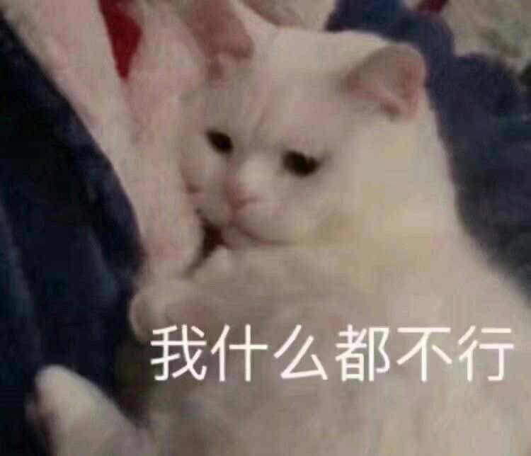 我什么都不行