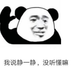 我说静一静，没听懂嘛