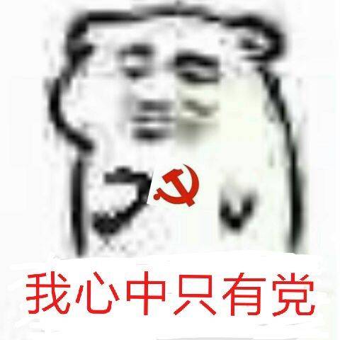 我心中只有党