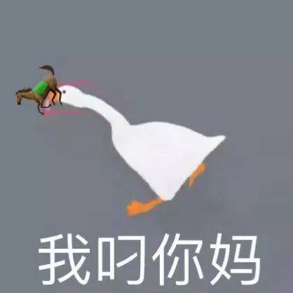 我叼你妈