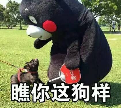 睢你这狗样！