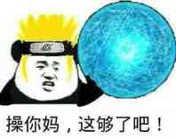 操你妈，这够了吧！