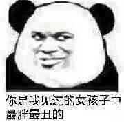 你是我见过的女孩子中最胖最丑的