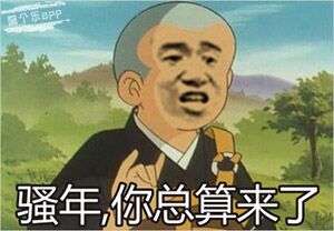 骚年，你总算来了