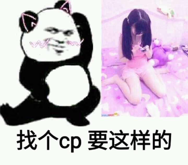 找个cp要这样的