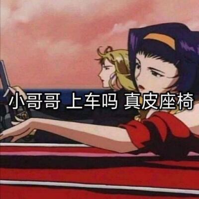 小哥哥上车吗？真皮座椅