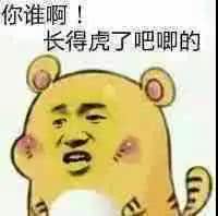 你谁啊！长得虎了吧唧的