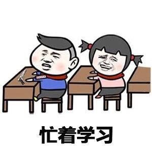 忙着学习