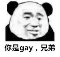 你是gay,兄弟