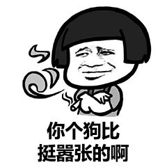 你个狗比挺器张的啊