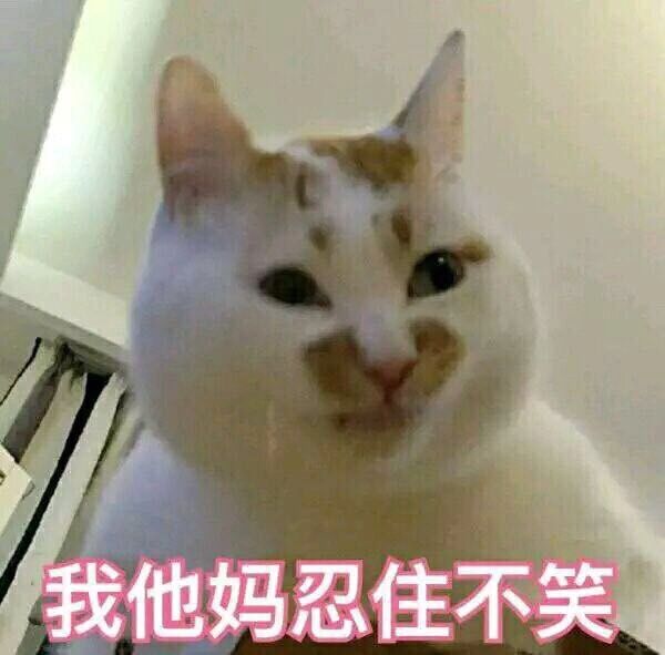 我他妈忍住不笑