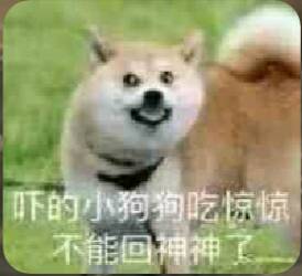 吓的小狗狗吃惊，不能回神神了