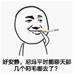 好安静，尼玛平时能聊天那几个叼毛哪去了？