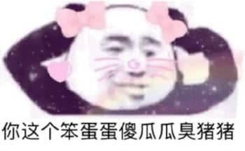 你这个笨蛋蛋傻瓜臭猪猪