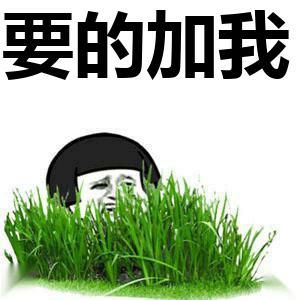 要的加我