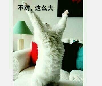不对,这么大
