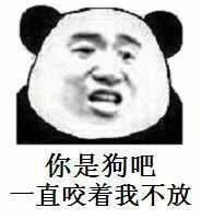 你是狗吧，直咬着我不放