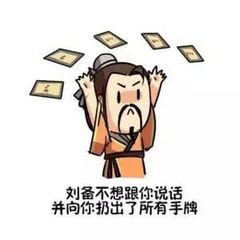 刘备不想跟你说话，并向你扔出了所有手牌