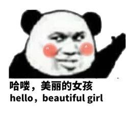 哈喽，美丽的女孩