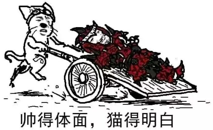 帅得体面，猫得明白