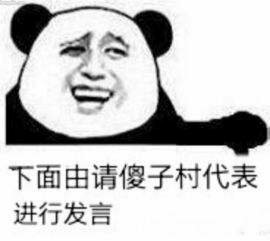 下面由请傻子村代表进行发言