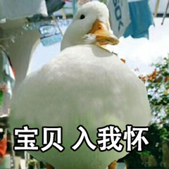 宝贝入我怀