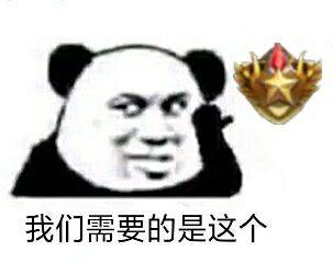 我们需要的是这个