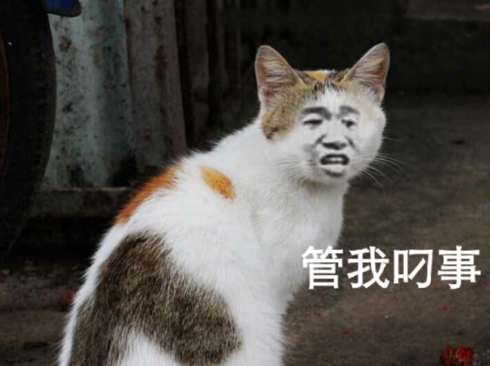 管我叼事！（小猫张学友）