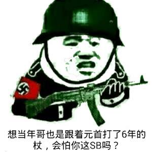 想当年哥也是跟着元首打了6年的杖，会怕你这SB吗？