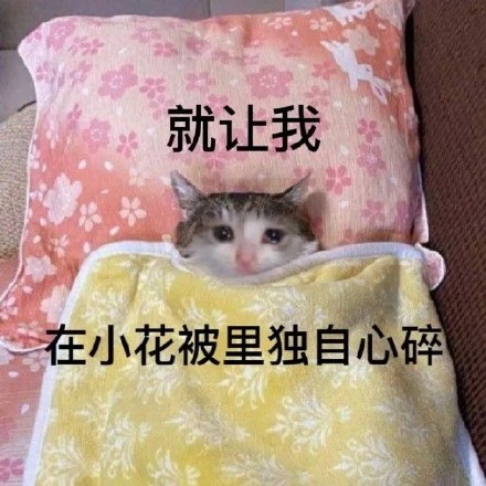 就让我在小花被里独自心碎(流泪猫猫头表情包)