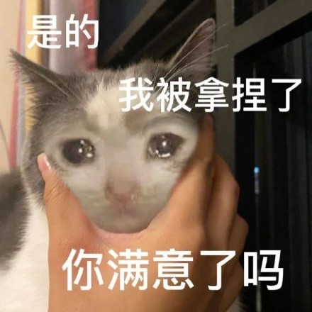 是的我被拿捏了你满意了吗(流泪猫猫头表情包)